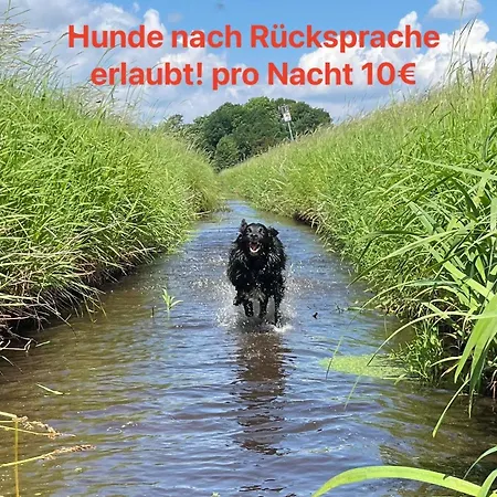 Diershof Walsrode Zewnętrze zdjęcie