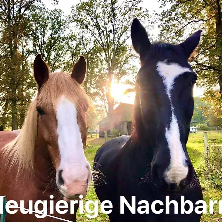 Diershof Walsrode Zewnętrze zdjęcie